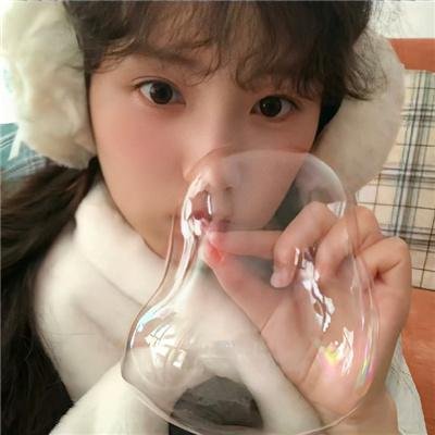燕子与山雀