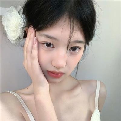 杜丝先生